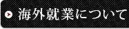 海外就業について